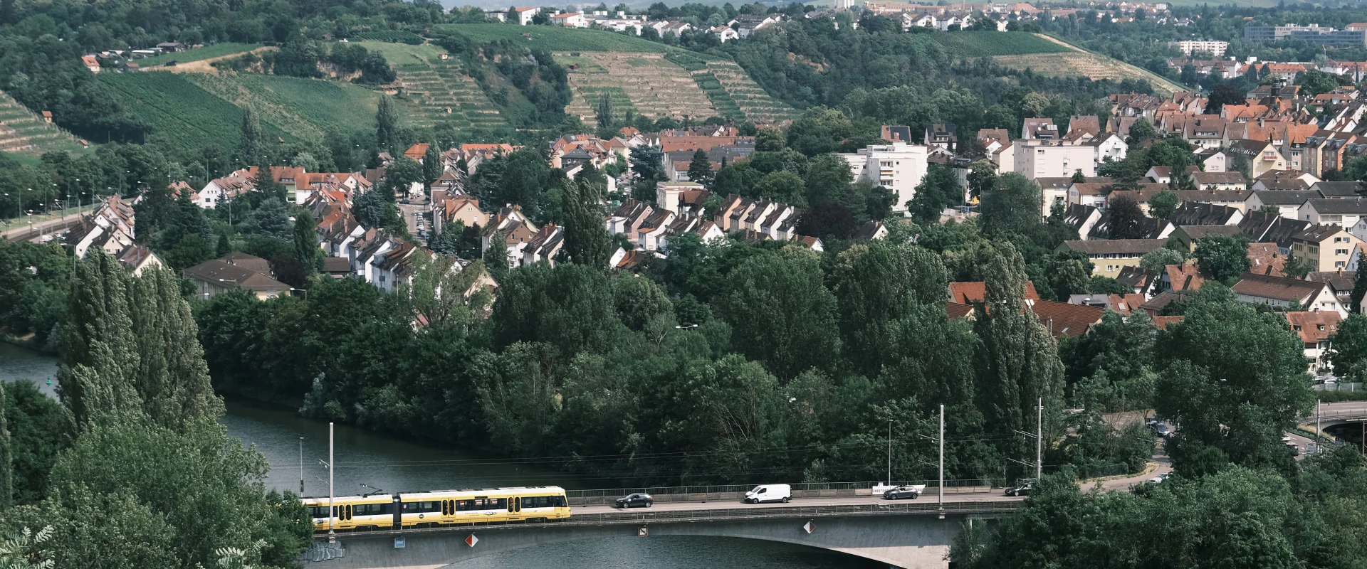Neckartal in Stuttgart mit Weinbergen, Brücke und Stadtbahn